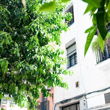 Alohamundi Cruz Verde Seville Exterior photo