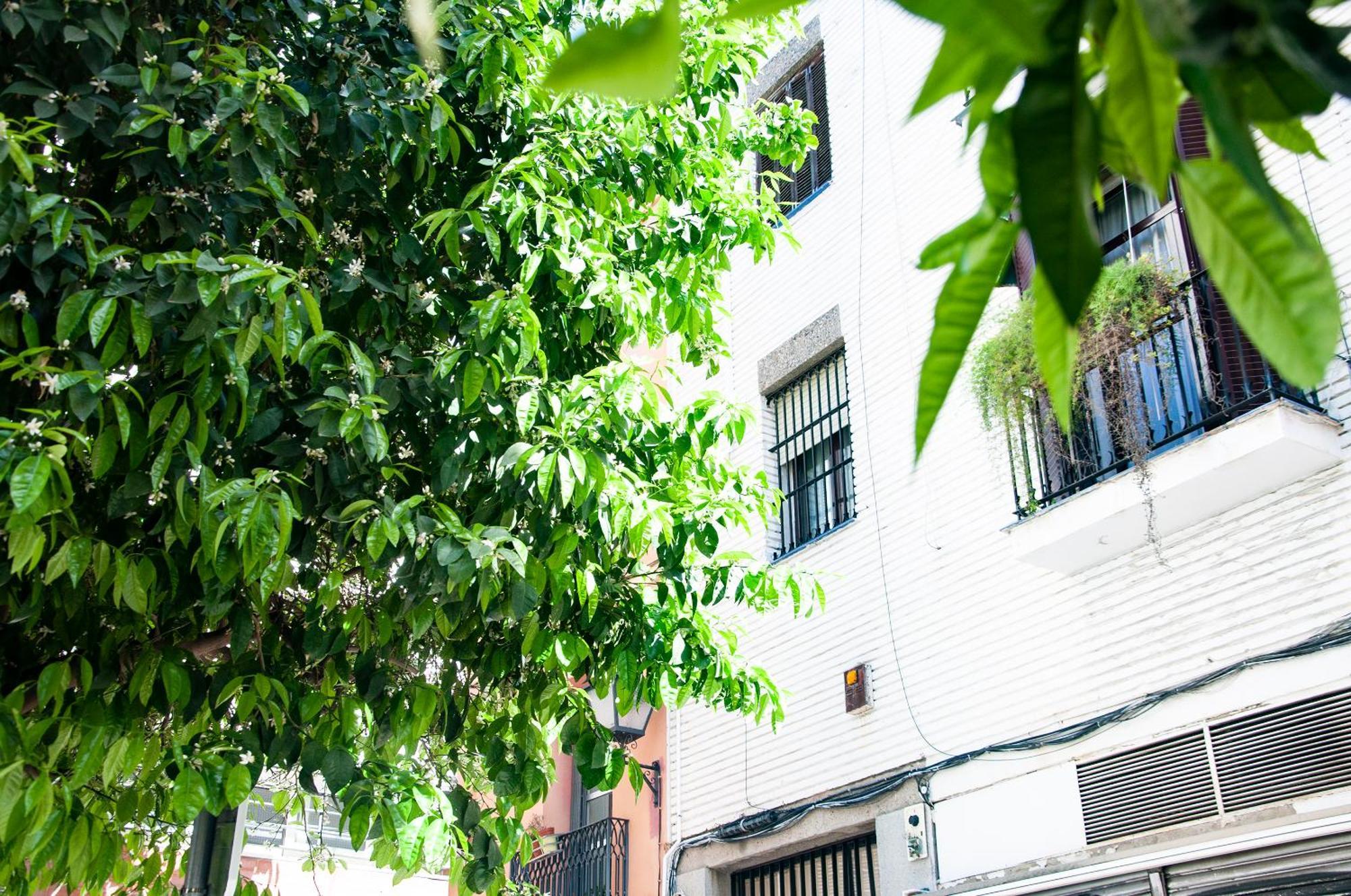Alohamundi Cruz Verde Seville Exterior photo